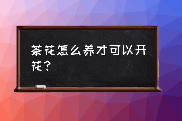 如何让山茶花开花 茶花怎么养才可以开花? 如何让山茶花开花 茶花怎么养才可以开花?
