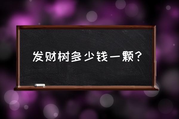 发财树小苗多少钱一棵 发财树多少钱一颗? 发财树小苗多少钱一棵 发财树多少钱一颗?