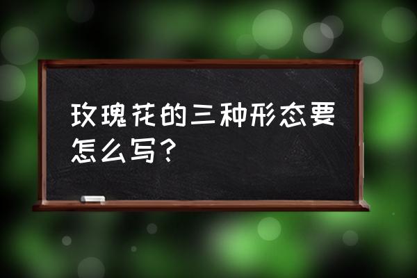玫瑰花样子怎么写 玫瑰花的三种形态要怎么写? 玫瑰花样子怎么写 玫瑰花的三种形态要怎么写?