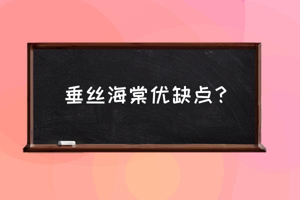 江苏宿迁的垂丝海棠好吗 垂丝海棠优缺点? 江苏宿迁的垂丝海棠好吗 垂丝海棠优缺点?