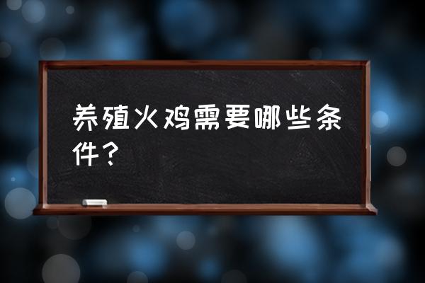 都江堰有火鸡养殖基地吗 养殖火鸡需要哪些条件? 都江堰有火鸡养殖基地吗 养殖火鸡需要哪些条件?