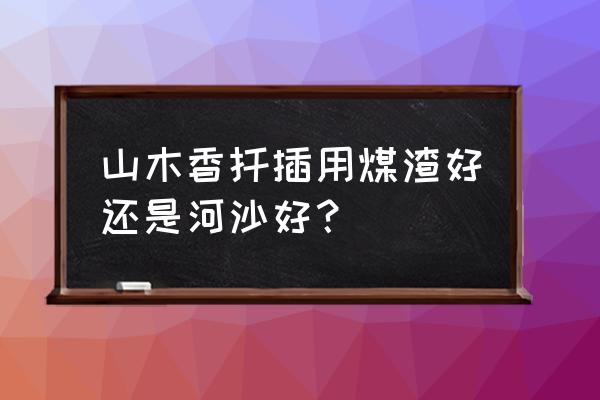 煤渣和砂子哪样养花好 山木香扦插用煤渣好还是河沙好? 煤渣和砂子哪样养花好 山木香扦插用煤渣好还是河沙好?