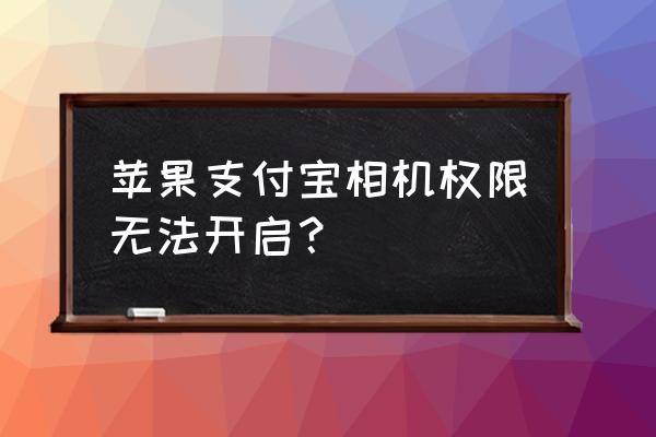 苹果手机怎么允许支付宝访问相机 苹果支付宝相机权限无法开启? 苹果手机怎么允许支付宝访问相机 苹果支付宝相机权限无法开启?