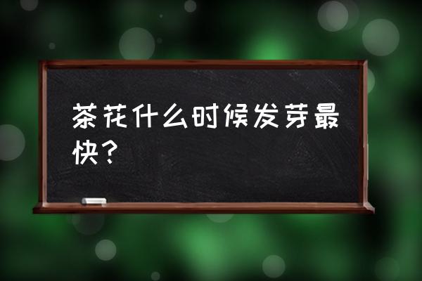 茶花几月发芽长新叶 茶花什么时候发芽最快? 茶花几月发芽长新叶 茶花什么时候发芽最快?