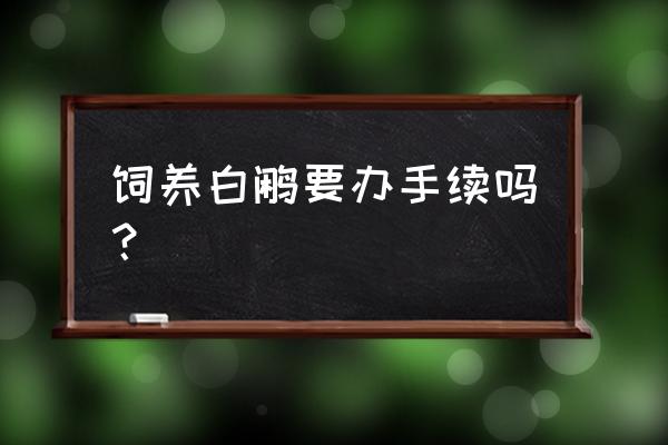 广东哪有白鹇养殖基地 饲养白鹇要办手续吗? 广东哪有白鹇养殖基地 饲养白鹇要办手续吗?
