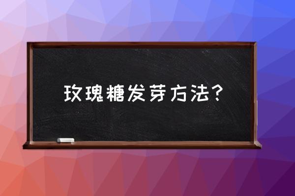 超市有玫瑰糖卖吗 玫瑰糖发芽方法? 超市有玫瑰糖卖吗 玫瑰糖发芽方法?
