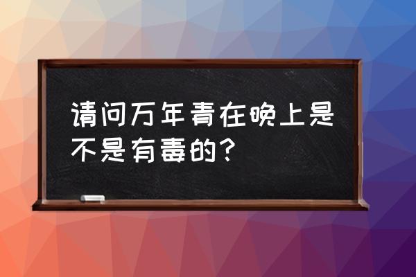 百合科万年青有毒吗 请问万年青在晚上是不是有毒的? 百合科万年青有毒吗 请问万年青在晚上是不是有毒的?