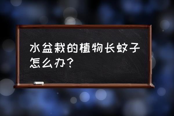 水生植物的怎么防蚊 水盆栽的植物长蚊子怎么办? 水生植物的怎么防蚊 水盆栽的植物长蚊子怎么办?
