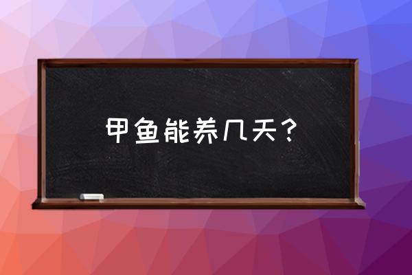甲鱼养多久精湛甲肴水产 甲鱼能养几天? 甲鱼养多久精湛甲肴水产 甲鱼能养几天?