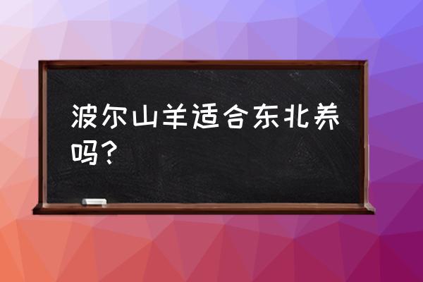 东北养波尔羊可以吗 波尔山羊适合东北养吗? 东北养波尔羊可以吗 波尔山羊适合东北养吗?