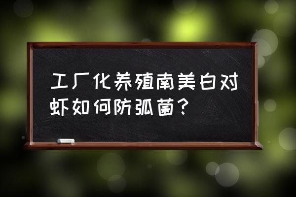南美白对虾小苗期弧菌怎么控制 工厂化养殖南美白对虾如何防弧菌? 南美白对虾小苗期弧菌怎么控制 工厂化养殖南美白对虾如何防弧菌?