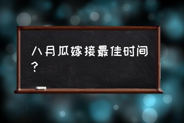 八月瓜的扦插技术 八月瓜嫁接最佳时间? 八月瓜的扦插技术 八月瓜嫁接最佳时间?