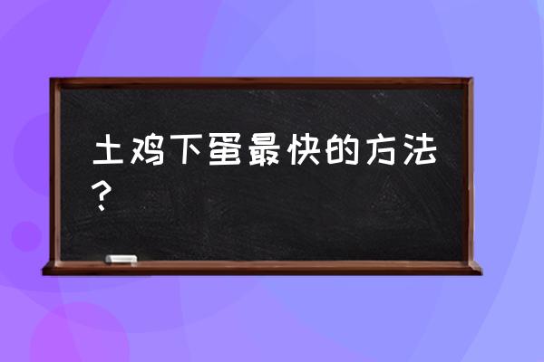蛋鸡恢复产蛋的方法 土鸡下蛋最快的方法? 蛋鸡恢复产蛋的方法 土鸡下蛋最快的方法?
