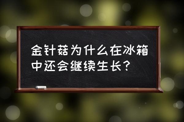 金针菇可以再次生长的办法 金针菇为什么在冰箱中还会继续生长? 金针菇可以再次生长的办法 金针菇为什么在冰箱中还会继续生长?