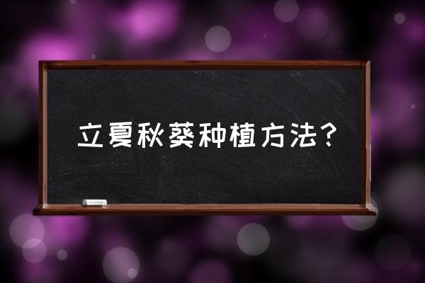 黄秋葵怎么样才能结的多 立夏秋葵种植方法? 黄秋葵怎么样才能结的多 立夏秋葵种植方法?
