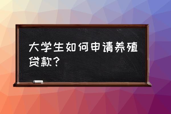 养猪个人贷款去哪里办理 大学生如何申请养殖贷款? 养猪个人贷款去哪里办理 大学生如何申请养殖贷款?