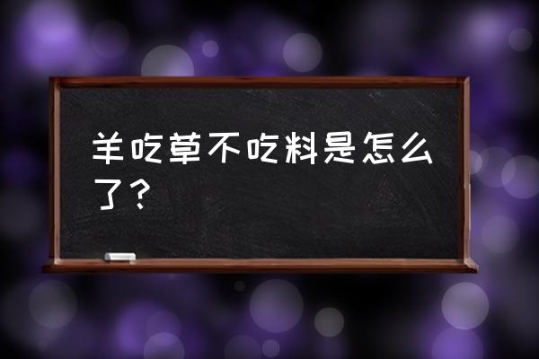 养奶山羊不加饲料可以吗 羊吃草不吃料是怎么了? 养奶山羊不加饲料可以吗 羊吃草不吃料是怎么了?