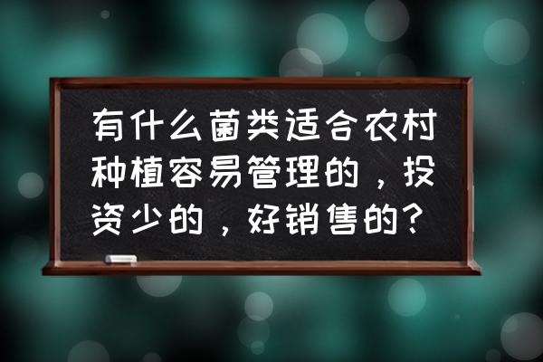 姬菇的种植方法和配方 有什么菌类适合农村种植容易管理的,投资少的,好销售的? 姬菇的种植方法和配方 有什么菌类适合农村种植容易管理的,投资少的,好销售的?