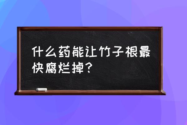 清除芦苇根的办法 什么药能让竹子根最快腐烂掉? 清除芦苇根的办法 什么药能让竹子根最快腐烂掉?