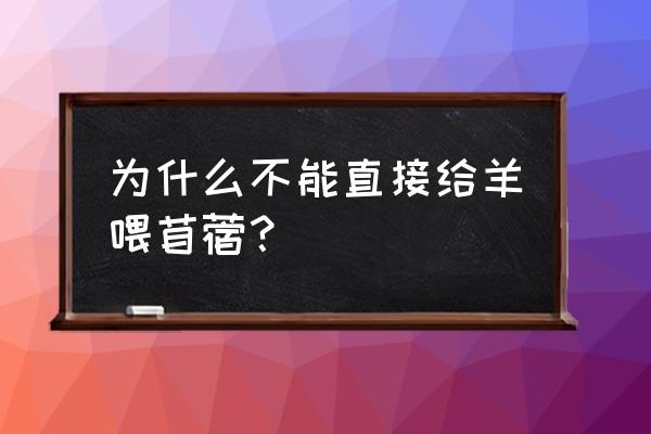 苜蓿青贮好还是干草好 为什么不能直接给羊喂苜蓿? 苜蓿青贮好还是干草好 为什么不能直接给羊喂苜蓿?