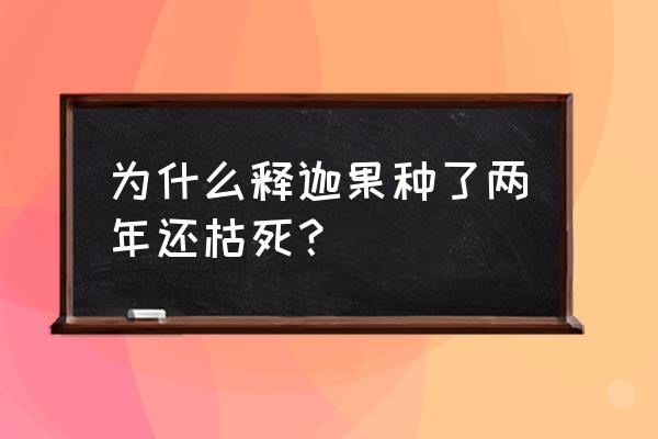 吃释迦果的危害 为什么释迦果种了两年还枯死? 吃释迦果的危害 为什么释迦果种了两年还枯死?