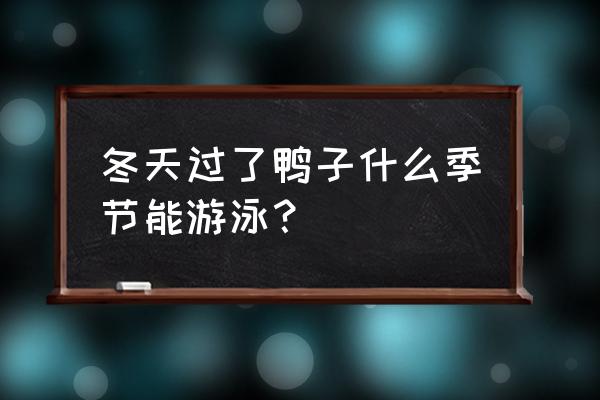 冬泳可以直接从冬天开始吗 冬天过了鸭子什么季节能游泳? 冬泳可以直接从冬天开始吗 冬天过了鸭子什么季节能游泳?