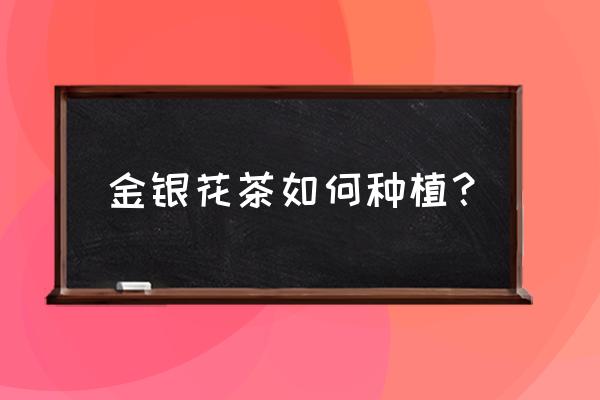 金银花盆栽用什么土养殖最好活 金银花茶如何种植? 金银花盆栽用什么土养殖最好活 金银花茶如何种植?