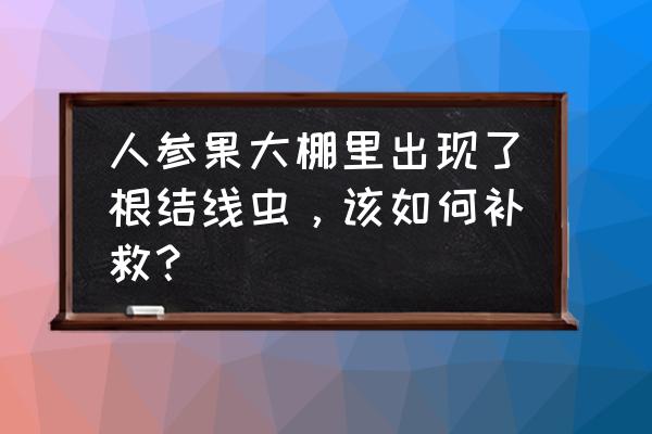 人参病虫害防治用药表 人参果大棚里出现了根结线虫,该如何补救? 人参病虫害防治用药表 人参果大棚里出现了根结线虫,该如何补救?