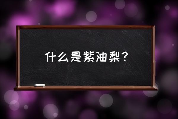 糠梨和油梨哪个更适合把玩 什么是紫油梨? 糠梨和油梨哪个更适合把玩 什么是紫油梨?