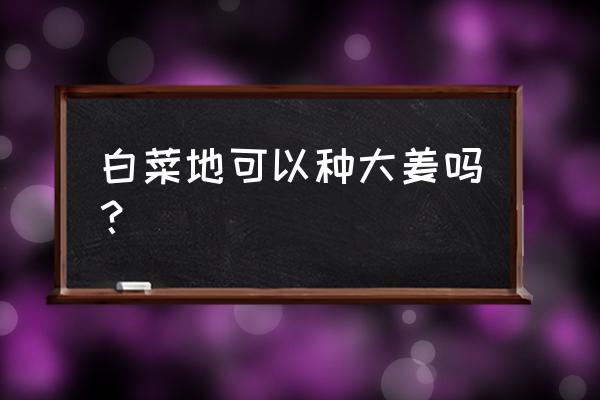 自制粘土大白菜教程 白菜地可以种大姜吗? 自制粘土大白菜教程 白菜地可以种大姜吗?