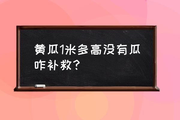 黄瓜1米多高没有瓜咋补救 黄瓜1米多高没有瓜咋补救? 黄瓜1米多高没有瓜咋补救 黄瓜1米多高没有瓜咋补救?