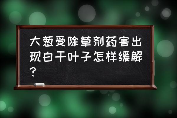 误打了草甘膦怎么挽救 大葱受除草剂药害出现白干叶子怎样缓解? 误打了草甘膦怎么挽救 大葱受除草剂药害出现白干叶子怎样缓解?