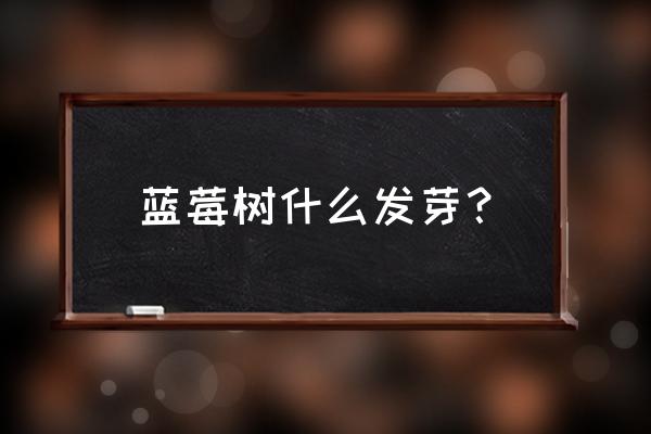 蓝莓籽能直接种到土里吗 蓝莓树什么发芽? 蓝莓籽能直接种到土里吗 蓝莓树什么发芽?