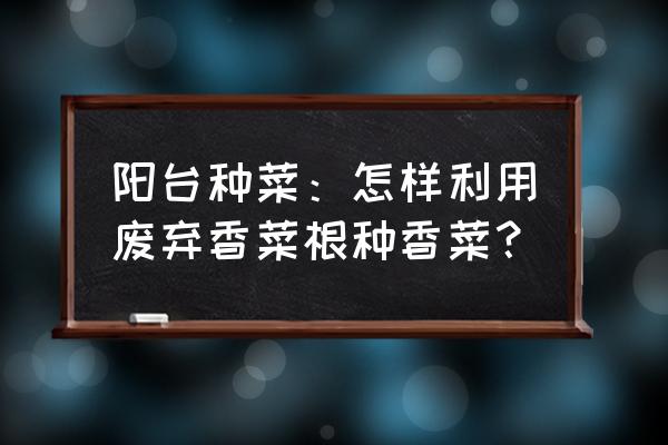阳台种香菜的绝招和方法 阳台种菜:怎样利用废弃香菜根种香菜? 阳台种香菜的绝招和方法 阳台种菜:怎样利用废弃香菜根种香菜?