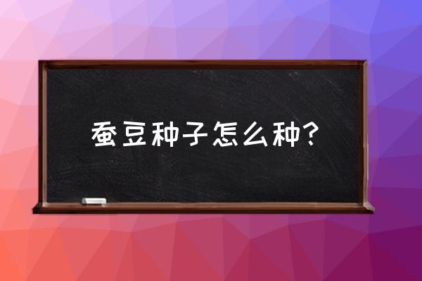 蚕豆种子到哪里买 蚕豆种子怎么种? 蚕豆种子到哪里买 蚕豆种子怎么种?