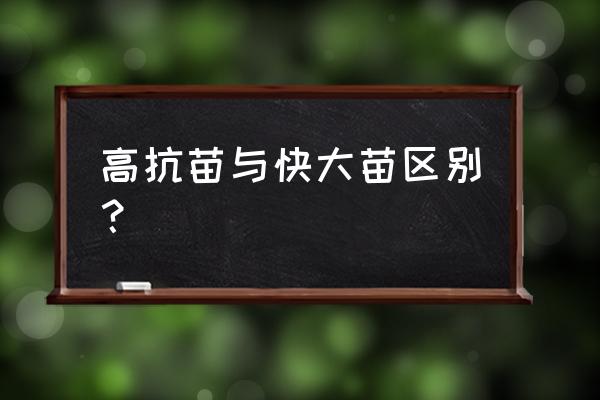 对虾养殖中有哪些不可控因素 高抗苗与快大苗区别? 对虾养殖中有哪些不可控因素 高抗苗与快大苗区别?