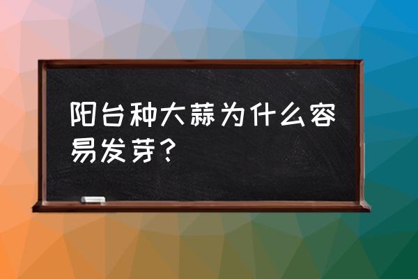 阳台土种蒜苗的正确过程 阳台种大蒜为什么容易发芽? 阳台土种蒜苗的正确过程 阳台种大蒜为什么容易发芽?